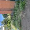 images/ovodakert/IMG_6607.jpeg