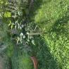images/ovodakert/IMG_6621.jpeg